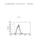 Acute Leukemia And Lymphoblastic Lymphoma-Specific CD43 Epitope and Use     Thereof diagram and image