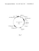 ANTI-GD2 ANTIBODIES AND METHODS AND USES RELATED THERETO diagram and image