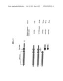 NOGO Receptor Binding Protein diagram and image