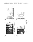 Luciferin Derivatives from Bicyclic Reactants and Aminothiol Derivatives     and Methods of Use Thereof diagram and image