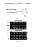 METHODS AND COMPOSITIONS FOR THE DETECTION OF CANCER CELLS diagram and image