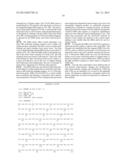 METHODS AND COMPOSITIONS FOR THE DETECTION OF CANCER CELLS diagram and image