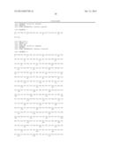 METHODS AND COMPOSITIONS FOR THE DETECTION OF CANCER CELLS diagram and image