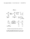 BIOCOMPATIBLE POLYMERS, PROCESS FOR THEIR PREPARATION AND COMPOSITIONS     CONTAINING THEM diagram and image