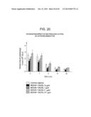 BIOCOMPATIBLE POLYMERS, PROCESS FOR THEIR PREPARATION AND COMPOSITIONS     CONTAINING THEM diagram and image