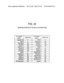 BIOCOMPATIBLE POLYMERS, PROCESS FOR THEIR PREPARATION AND COMPOSITIONS     CONTAINING THEM diagram and image