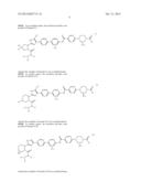 HEPATITIS C VIRUS INHIBITORS diagram and image