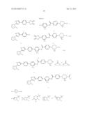 HEPATITIS C VIRUS INHIBITORS diagram and image