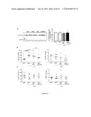 SERCA2 THERAPEUTIC COMPOSITIONS AND METHODS OF USE diagram and image