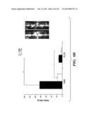 SILK FIBROIN AND POLYETHYLENE GLYCOL-BASED BIOMATERIALS diagram and image