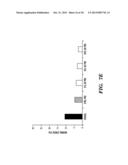 SILK FIBROIN AND POLYETHYLENE GLYCOL-BASED BIOMATERIALS diagram and image