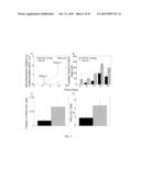 METHOD FOR DIFFERENTIATING HUMAN EMBRYONIC STEM CELLS INTO  -CELLS FOR THE     TREATMENT OF TYPE I DIABETES diagram and image