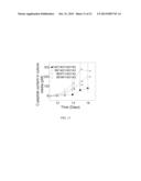 METHOD FOR DIFFERENTIATING HUMAN EMBRYONIC STEM CELLS INTO  -CELLS FOR THE     TREATMENT OF TYPE I DIABETES diagram and image