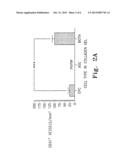 COMPOSITIONS AND METHODS TO STIMULATE VASCULAR STRUCTURE FORMATION diagram and image