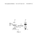 METHOD FOR DEVELOPING NATURAL KILLER CELLS FROM STEM CELLS diagram and image