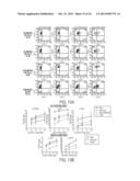 METHOD FOR DEVELOPING NATURAL KILLER CELLS FROM STEM CELLS diagram and image