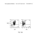 METHOD FOR DEVELOPING NATURAL KILLER CELLS FROM STEM CELLS diagram and image