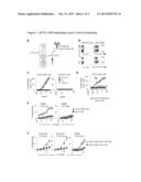 UNIVERSAL ANTI-TAG CHIMERIC ANTIGEN RECEPTOR-EXPRESSING T CELLS AND     METHODS OF TREATING CANCER diagram and image