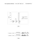 COLLAGENASE G AND COLLAGENASE H COMPOSITIONS FOR THE TREATMENT OF DISEASES     INVOLVING ALTERATIONS OF COLLAGEN diagram and image