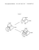 HUMAN ANTI-KIR ANITBODIES diagram and image