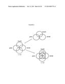 HUMAN ANTI-KIR ANITBODIES diagram and image