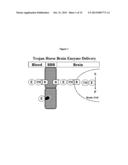 Methods and Compositions for Increasing Arylsulfatase A Activity in the     CNS diagram and image