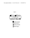 Methods and Compositions for Increasing Arylsulfatase A Activity in the     CNS diagram and image