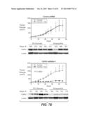 ANTI-FGFR3 ANTIBODIES AND METHODS USING SAME diagram and image