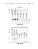 ANTI-FGFR3 ANTIBODIES AND METHODS USING SAME diagram and image