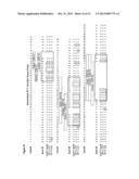 HUMANIZED ANTI-EGFL7 ANTIBODIES AND METHODS USING SAME diagram and image