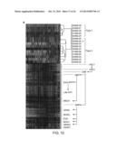 USE OF JAM-A IN DIAGNOSING AND TREATING LEUKEMIA diagram and image