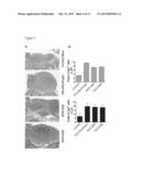 VACCINE COMPOSITIONS AND USES THEREOF diagram and image