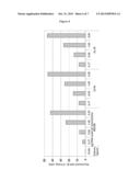 DNA Expression Construct diagram and image