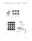 METHODS FOR IN VITRO DIFFERENTIATION OF TH-17+ CELLS diagram and image