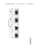 METHODS FOR IN VITRO DIFFERENTIATION OF TH-17+ CELLS diagram and image