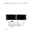 FAST THERMO-OPTICAL PARTICLE CHARACTERISATION diagram and image