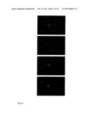 FAST THERMO-OPTICAL PARTICLE CHARACTERISATION diagram and image