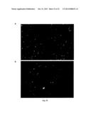 FAST THERMO-OPTICAL PARTICLE CHARACTERISATION diagram and image