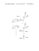 METHOD OF DETERMINING THE NUCLEOTIDE SEQUENCE OF OLIGONUCLEOTIDES AND DNA     MOLECULES diagram and image