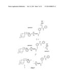 METHOD OF DETERMINING THE NUCLEOTIDE SEQUENCE OF OLIGONUCLEOTIDES AND DNA     MOLECULES diagram and image