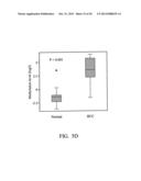 BIOMARKER FOR HUMAN LIVER CANCER diagram and image