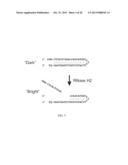 MODIFIED RNASE H ENZYMES AND THEIR USES diagram and image