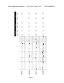 SIGNATURES OF CLINICAL OUTCOME IN GASTRO INTESTINAL STROMAL TUMORS AND     METHOD OF TREATMENT OF GASTROINTESTINAL STROMAL TUMORS diagram and image