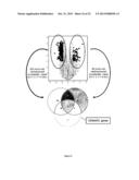 SIGNATURES OF CLINICAL OUTCOME IN GASTRO INTESTINAL STROMAL TUMORS AND     METHOD OF TREATMENT OF GASTROINTESTINAL STROMAL TUMORS diagram and image