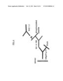 DETECTION OF A POSTTRANSLATIONALLY MODIFIED POLYPEPTIDE BY A BI-VALENT     BINDING AGENT diagram and image