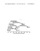 Biomarkers For Prediction Of Major Adverse Cardiac Events And Uses Thereof diagram and image