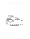 Biomarkers For Prediction Of Major Adverse Cardiac Events And Uses Thereof diagram and image