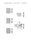 COMPOSITIONS AND METHODS FOR DETECTING ACETYLATED SUMO PROTEINS diagram and image