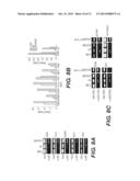 COMPOSITIONS AND METHODS FOR DETECTING ACETYLATED SUMO PROTEINS diagram and image