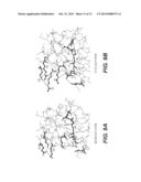 COMPOSITIONS AND METHODS FOR DETECTING ACETYLATED SUMO PROTEINS diagram and image